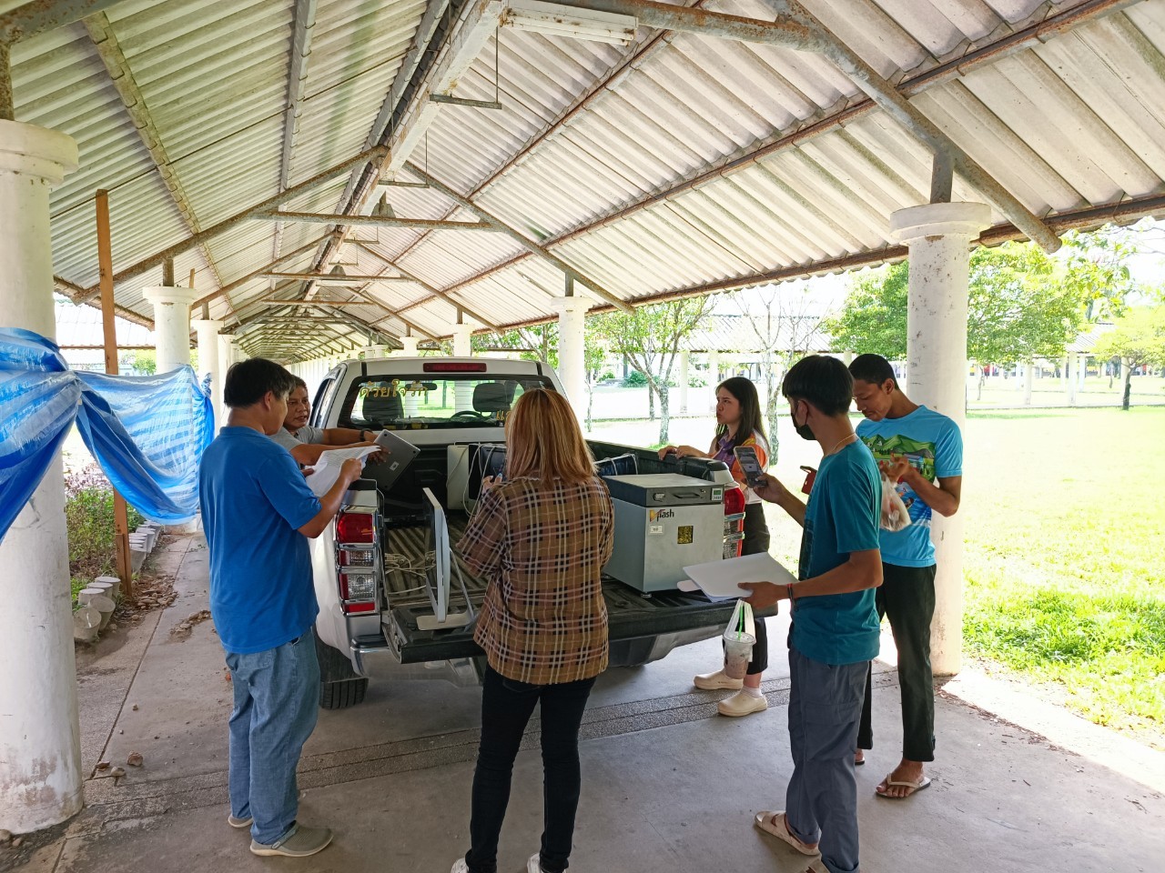 ขายทอดตลาด