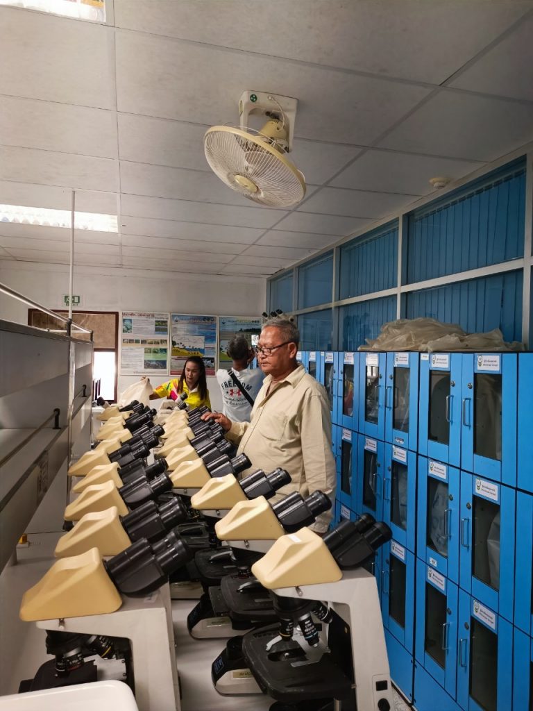 ขายทอดตลาด