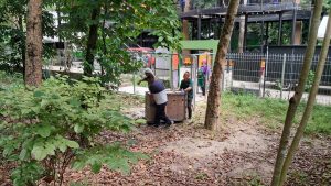 กวางดาว