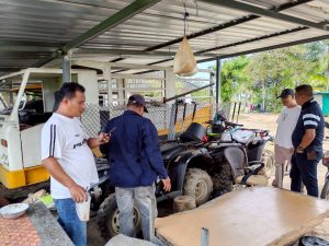 ขายทอดตลาด